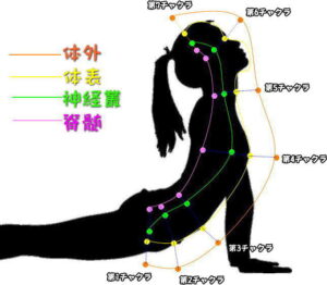 チャクラの図（体外・体表・神経叢・脊髄の各場所）チャクラ 整え方