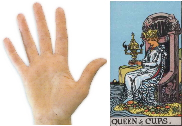 手相の見方ー火の手の型別名『占星術師の手』『繊細な手』タロットでいうならカップのクィーン