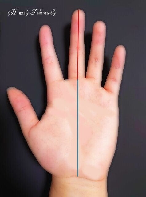 手型の分類方法ー指の長さ（掌の縦との比率で考察する）