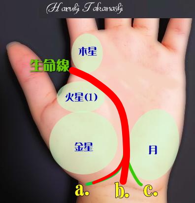 生命線の終点が手首中央で親指側に支線がある人